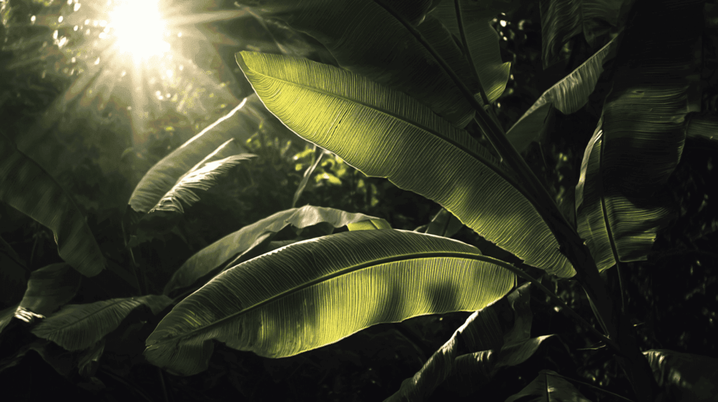 planten en belichting